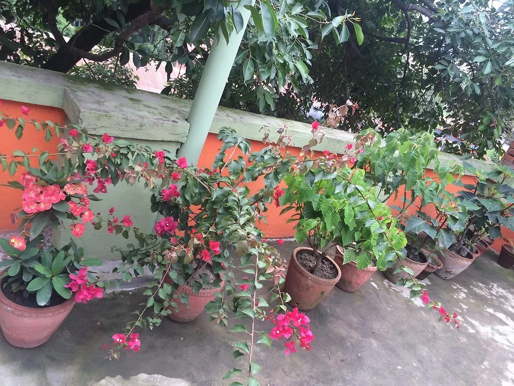 Hotel Backpackers Inn Kathmandu 0*,  Nepal